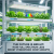 The Future Is Bright: How Full Spectrum LEDs Boost Hydroponic Crop Growth