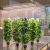 Full Spectrum LED Technology: The Secret to Healthier Hydroponic Plants in 2026