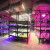 The Science Behind SecretLED Grow Lights: A Deep Dive