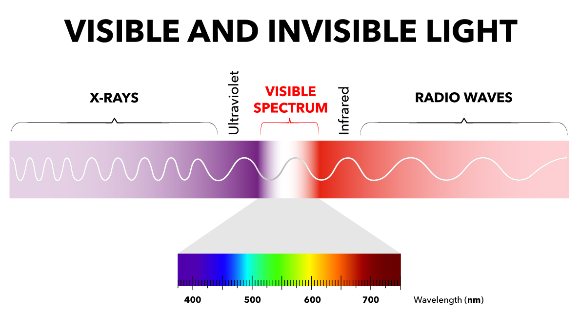 Visible and Invisible Light Visible and Invisible Light